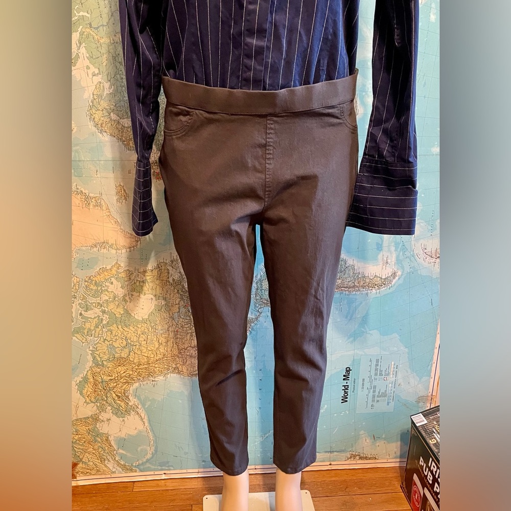 Zac & Rachel Millennium Stretch Pull On Pants in Dark Grey Women's Size Large
